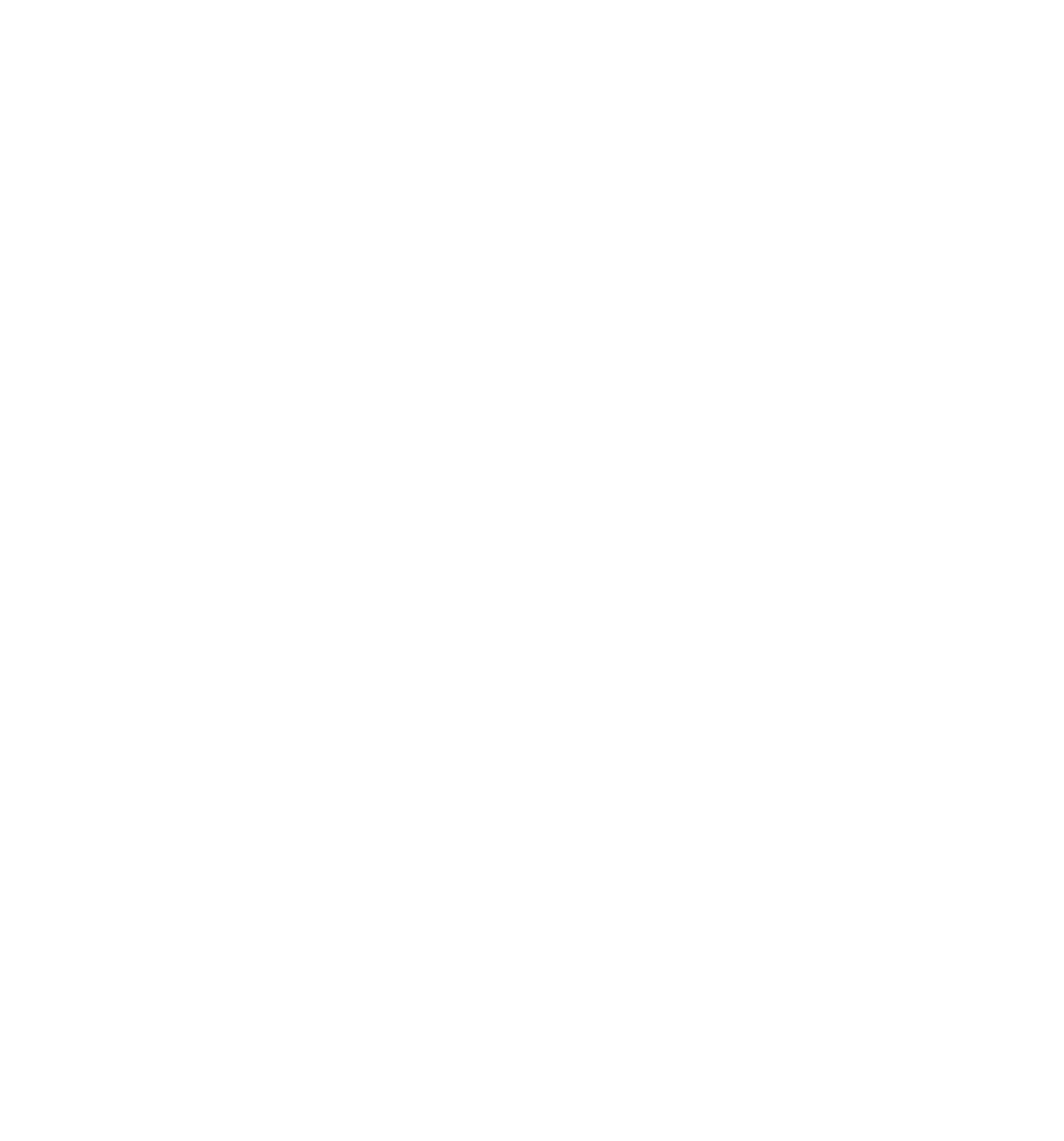 NM-Logo-2025 NM Designs Logo